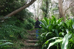 SAMSUNG CAMERA PICTURES