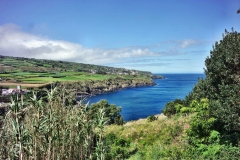 SAMSUNG CAMERA PICTURES