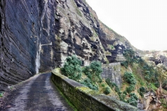 SAMSUNG CAMERA PICTURES