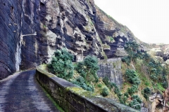 SAMSUNG CAMERA PICTURES