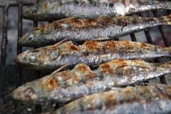 SAMSUNG CAMERA PICTURES